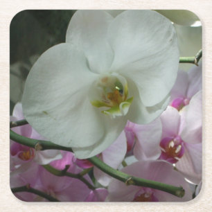 Weiße und Lila Orchideen Rechteckiger Pappuntersetzer