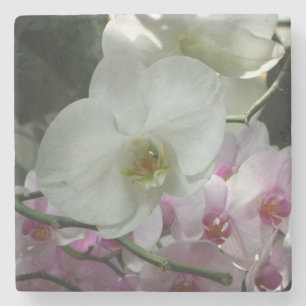 Weiße und Lila Orchideen Steinuntersetzer
