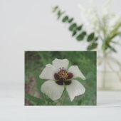 Weiße und Lila Passionsblume Postkarte (Stehend Vorderseite)