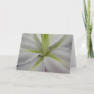 Weiße und Limone Tigerlily Grußkarte Karte