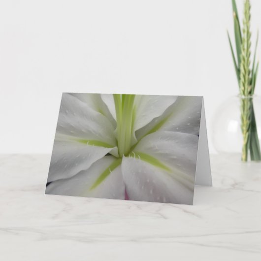 Weiße und Limone Tigerlily Grußkarte Karte (Vorderseite)