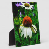 Weiße und orange KoneBlumen Fotoplatte (Seite)