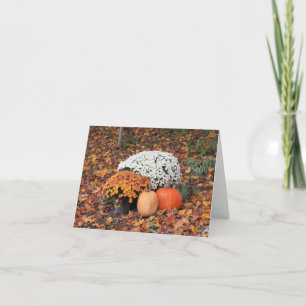 Weiße und orangefarbene Herbstmütter Karte