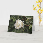 Weiße und reine Rose-Schriftenkarte Philippinen 4: Karte (Gelbe Blume)