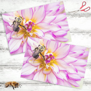 Weiße und rosa Dahlia mit Hummel Seidenpapier