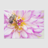 Weiße und rosa Dahlia mit Hummel Seidenpapier (Vorderseite)
