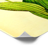 Weiße und rosa Frau Slipper Poster (Ecke)