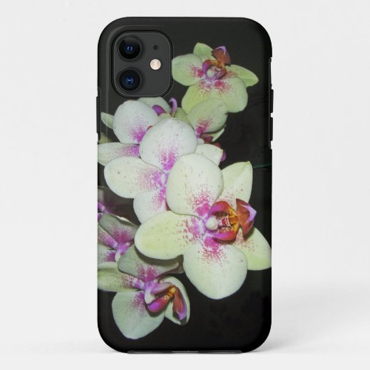 weiße und rosa Orchidee Case-Mate iPhone Hülle (Rückseite)