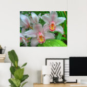 Weiße und rosa Orchideen COLOSSAL-Größe Poster (Heimbüro)