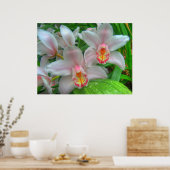 Weiße und rosa Orchideen COLOSSAL-Größe Poster (Küche)