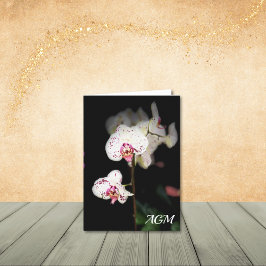 Weiße und rosa Orchideen-Mitteilungskarten Dankeskarte