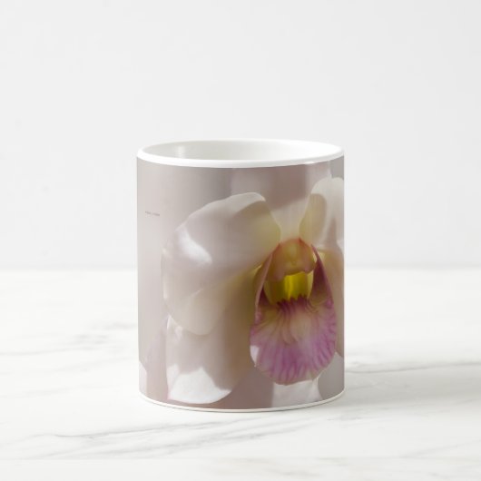 Weiße und rosa Orchideenblüte auf unscharfem Hinte Kaffeetasse (Mittel)