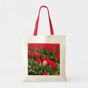 Weiße und rosa Tulip in einem roten Tulip-Feld, Or Tragetasche