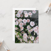 Weiße und rote Nelken Karte (Vorderseite/Rückseite Beispiel)