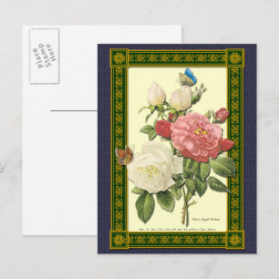 Weiße und rote Rosen Botanische Postkarte