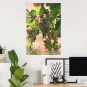 Weiße und rote Trauben Poster (Heimbüro)