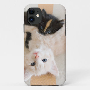 Weiße und schwarze Kätzchen Case-Mate iPhone Hülle