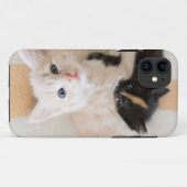 Weiße und schwarze Kätzchen Case-Mate iPhone Hülle (Rückseite (Horizontal))