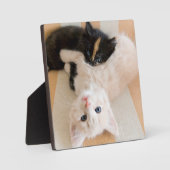 Weiße und schwarze Kätzchen Fotoplatte (Vorderseite)