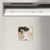 Weiße und schwarze Kätzchen Magnet (In Situ (Geschirrspüler))