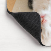 Weiße und schwarze Kätzchen Mousepad (Ecke)