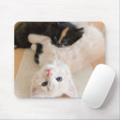 Weiße und schwarze Kätzchen Mousepad (Mit Mouse)