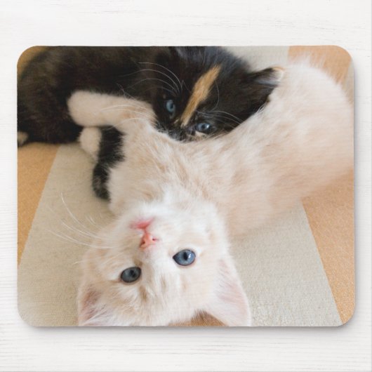 Weiße und schwarze Kätzchen Mousepad (Vorne)