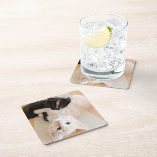 Weiße und schwarze Kätzchen Rechteckiger Pappuntersetzer (Vor Ort)