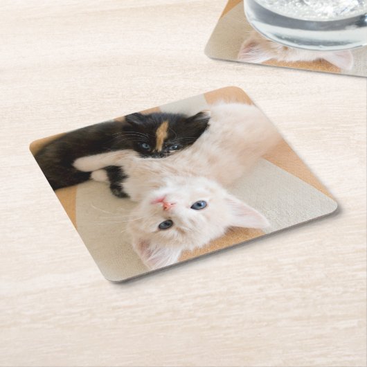 Weiße und schwarze Kätzchen Rechteckiger Pappuntersetzer (angewinkelt)