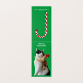 Weiße und schwarze Katze & Rentierspielkarte (Außenseite Aufgefaltet)