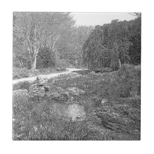 Weiße und schwarze Naturskizze Fliese