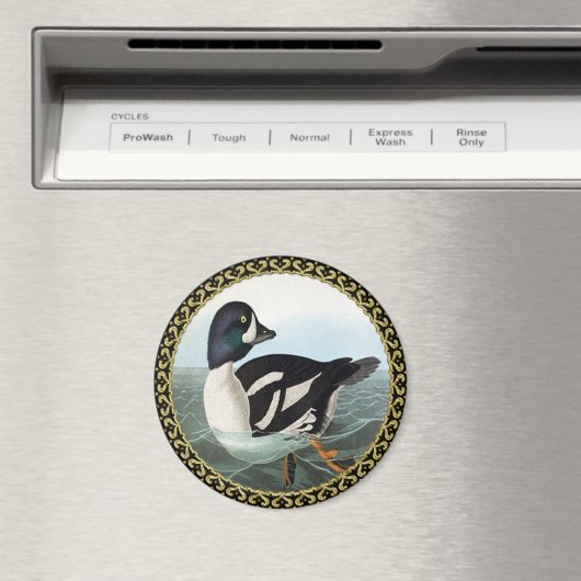 Weiße und schwarze Stockenten schwimmen im Wasser Magnet (In Situ (Geschirrspüler))