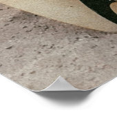 Weiße und schwarze Surfbretter Poster (Ecke)