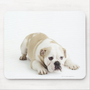 Weiße und tan Bulldogge Mousepad