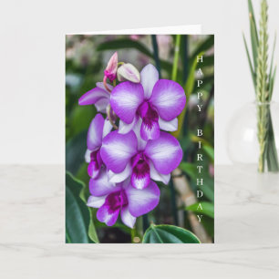 Weiße und violette Orchideen Geburtstagskarte Karte