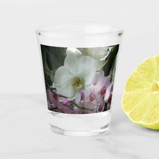 Weiße und violette Orchideen Schnapsglas (Vorderseite)