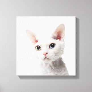 Weiße, ungerade mit Augen Katze 2 Leinwanddruck