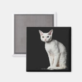 Weiße, ungerade mit Augen Katze 3 Magnet (Vorderseite/Rückseite)