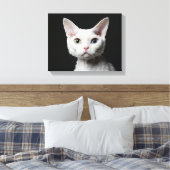 Weiße, ungerade mit Augen Katze Leinwanddruck (Insitu (Schlafzimmer))