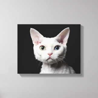 Weiße, ungerade mit Augen Katze Leinwanddruck