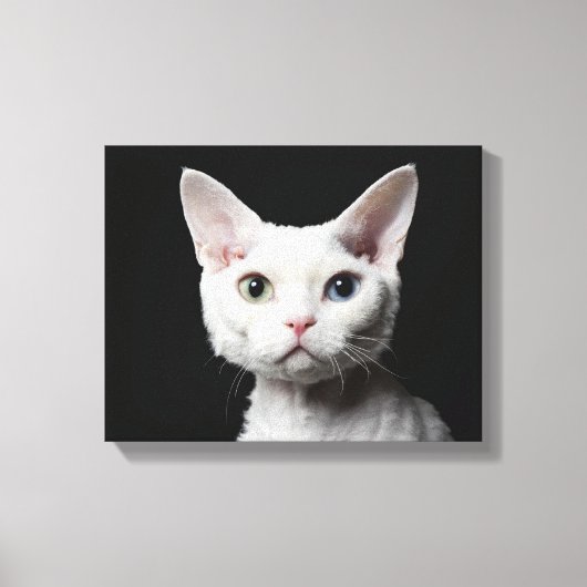 Weiße, ungerade mit Augen Katze Leinwanddruck (Vorderseite)