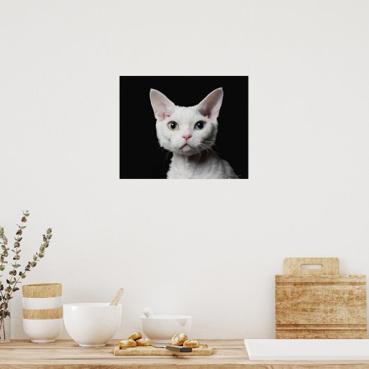 Weiße, ungerade mit Augen Katze Poster (Küche)