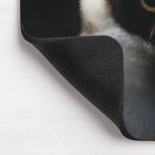 Weiße, verschwommene Eule mit durchbohrtem Blick Mousepad (Ecke)