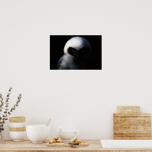 Weiße, verschwommene Eule mit durchbohrtem Blick Poster (Küche)