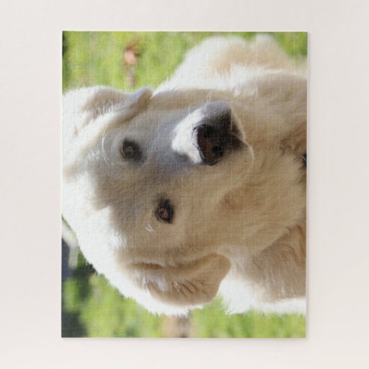 Weiße Viehhalter Hund Maremma Puzzle (Vertikal)