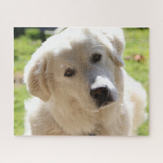 Weiße Viehhalter Hund Maremma Puzzle (Horizontal)