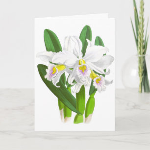 Weiße Vintage-Orchideen-Blumen-Notizkarte Karte