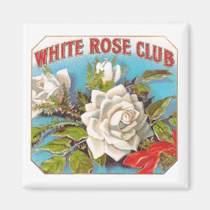 Weiße Vintage-Rosen-Club-Blumen Magnet