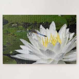 Weiße Wasserlilie, blaue Libelle, Teichleben Puzzle