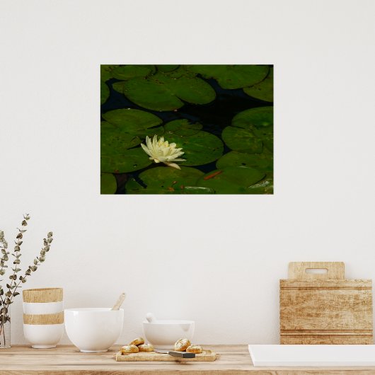 Weiße Wasserlilie I Friedliche Blumenfotografie Poster (Küche)